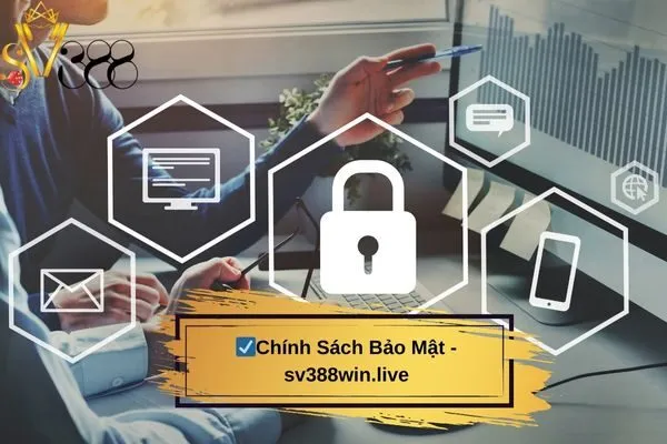 Chính Sách Bảo Mật - seks.us.com