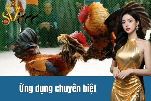 Đá gà trực tiếp trên điện thoại